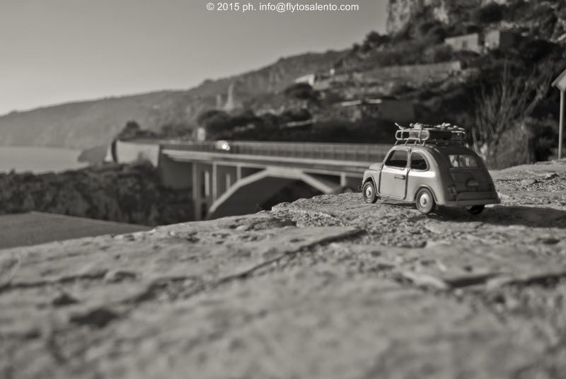 Sunday, Dec 6th 2015 006 - Copia_1_1 (2)