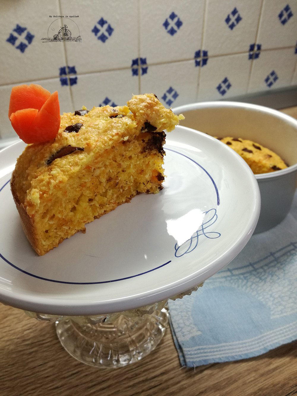 A gracious tulip to make Springtime