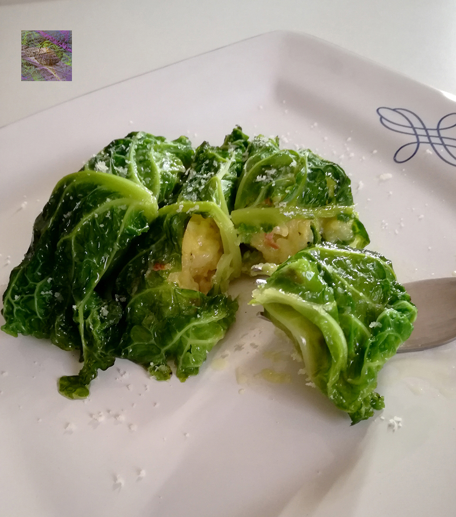 Green leafy chou de Savoie filled with golden lightness