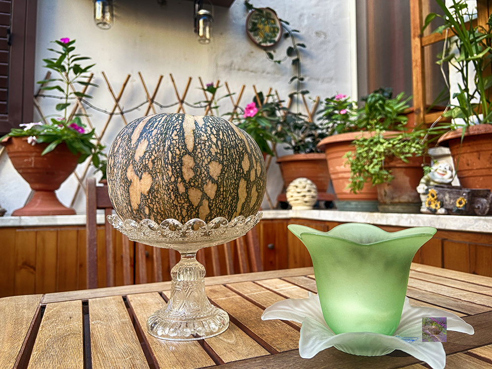 A pumpkin to nourish the soul