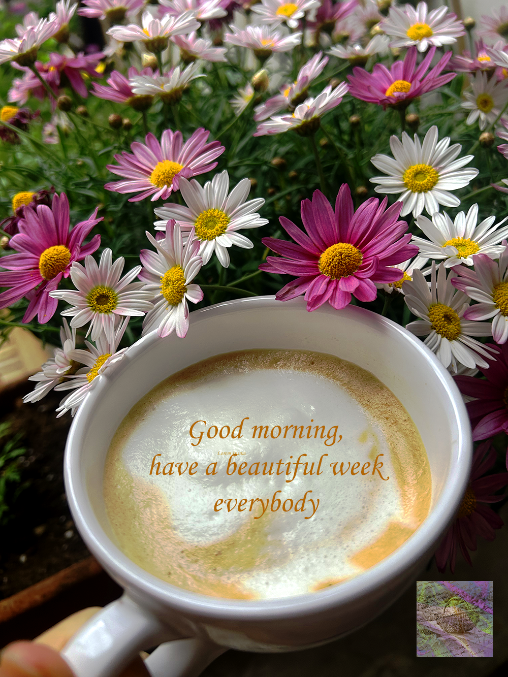 Wishing a beautiful week to everybody