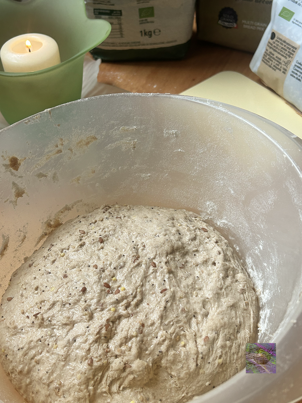 First Sunday of Advent: Cereal Bread Rising