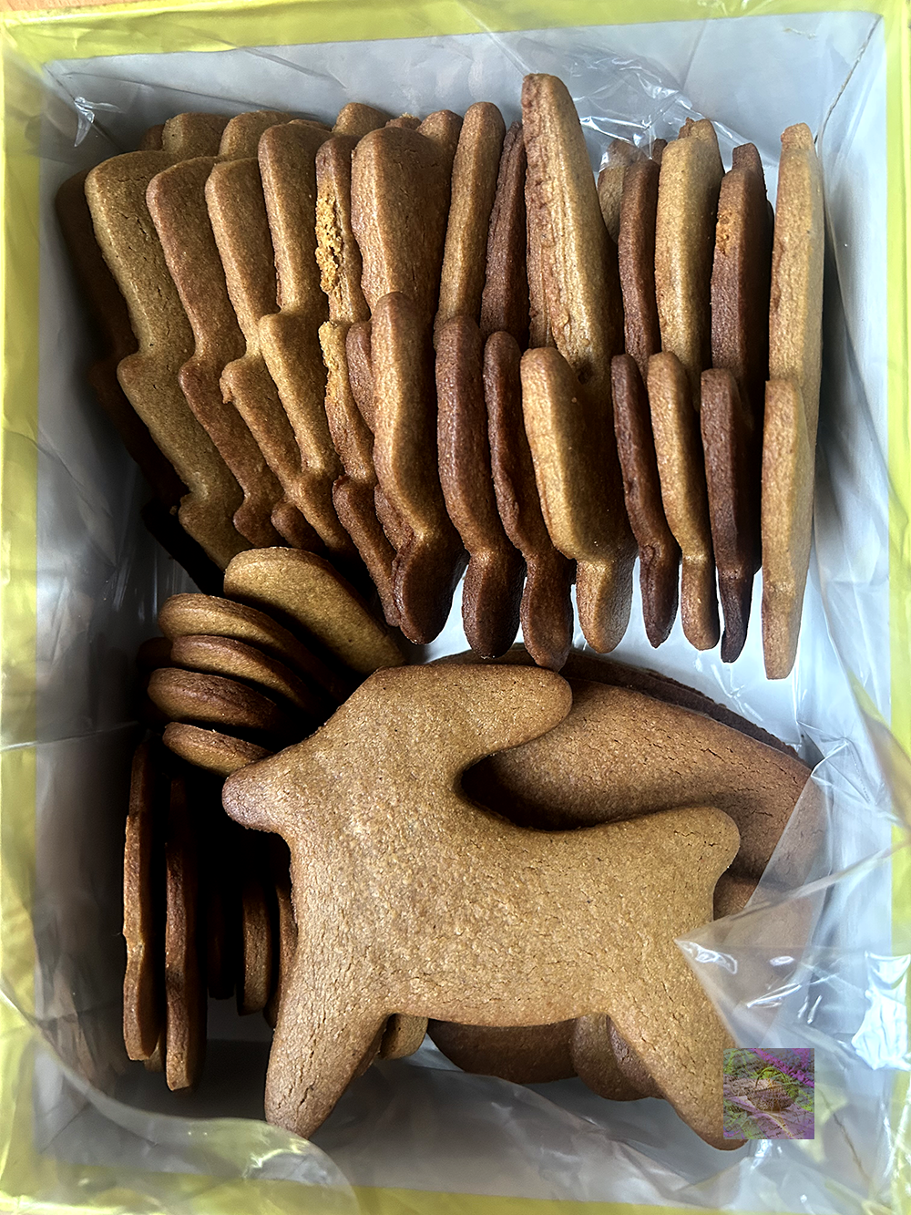 Baking gingerbread for family, friends and Santa
