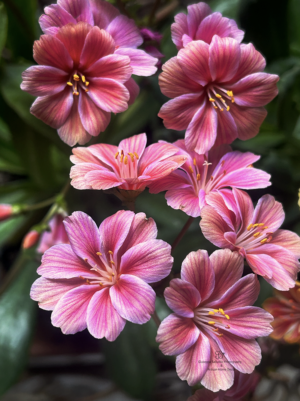 Happy New Year 2025 Wishes for Family and&nbsp;Friends