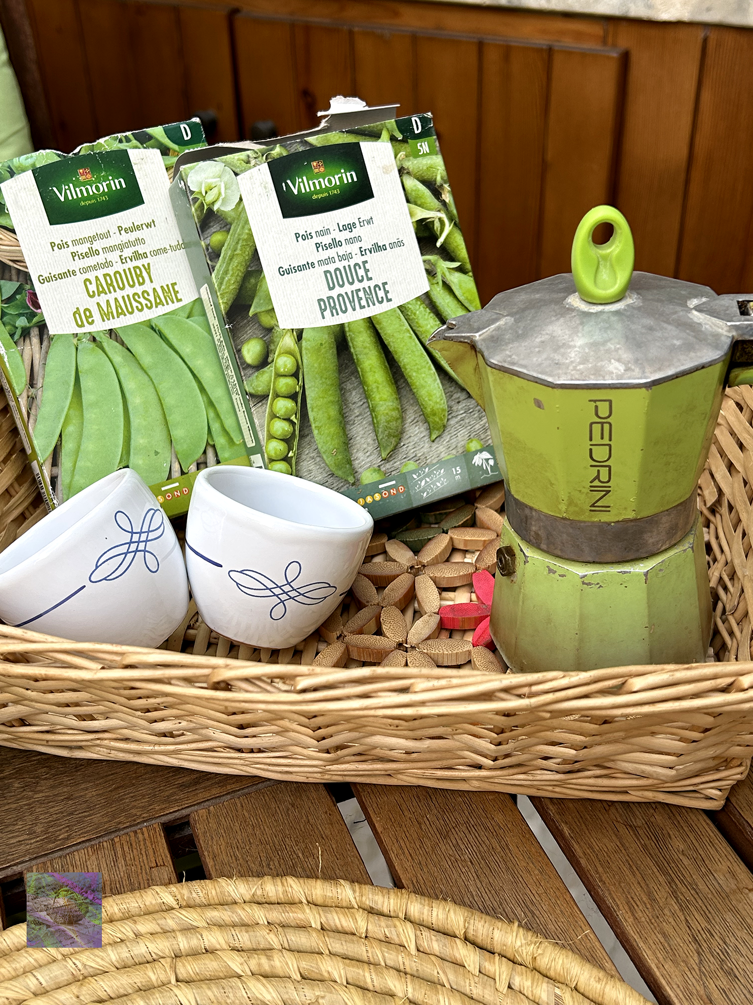 Sowing Pea Varieties for the New Season