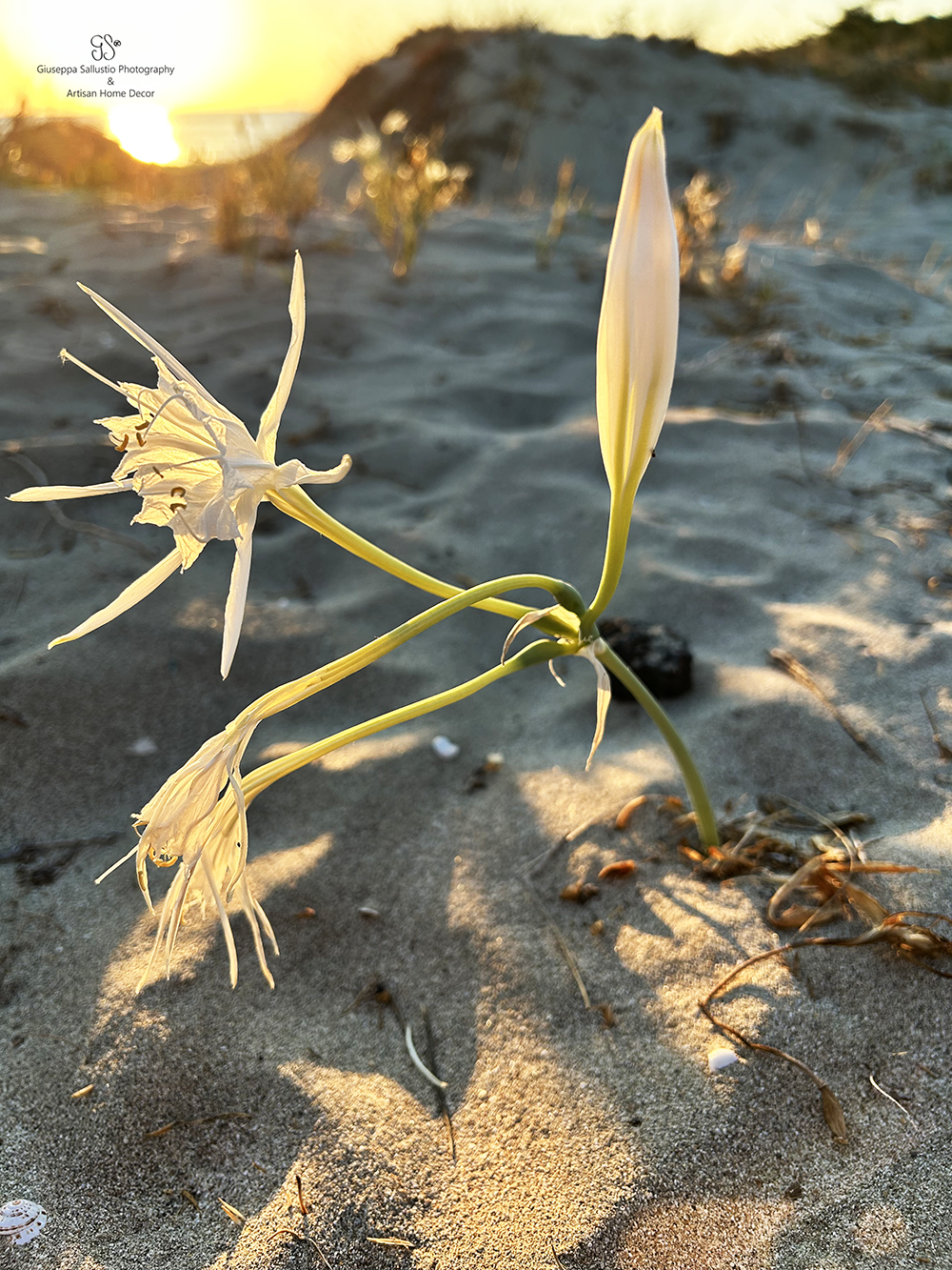 Discover the Beauty of the Ionian Coast in September